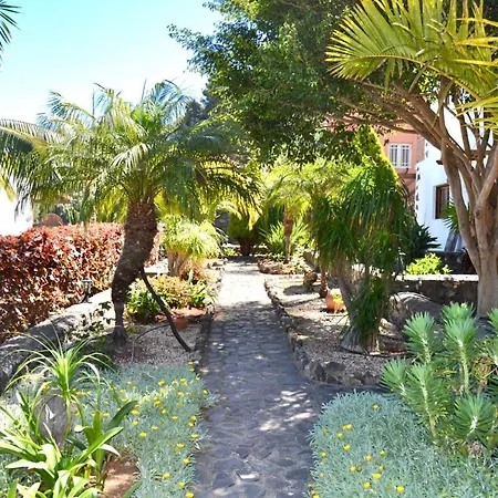 Casa Con Wifi, Piscina Con Vistas Directamente Al Mar, Rodeada De Arboles Limoneros * La Guancha