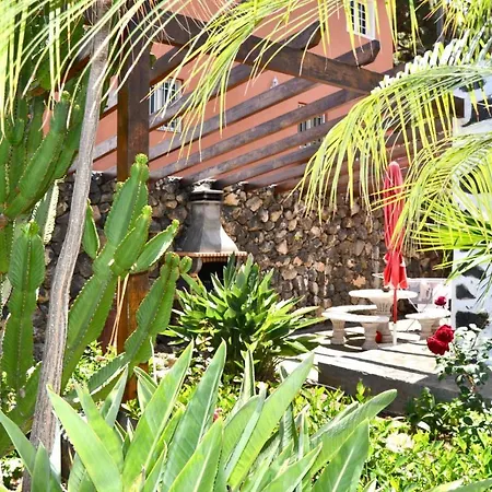 Casa Con Wifi, Piscina Con Vistas Directamente Al Mar, Rodeada De Arboles Limoneros La Guancha
